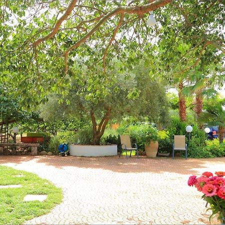 Villa Zahara リベラ エクステリア 写真