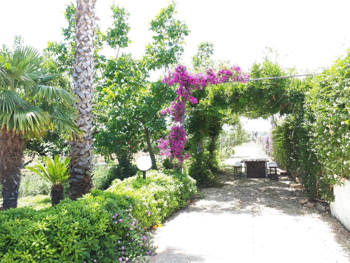 Villa Zahara リベラ エクステリア 写真